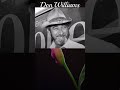 💓 I Just Come Here For The Music 💓Don Williams #shorts #donwilliamssongs  #lyricvideo @Chantertracks