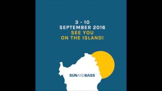 DJ Flight - Deeizm MC @ Sun and Bass 2016