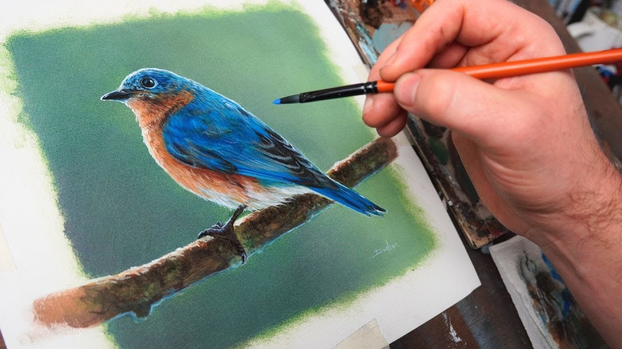 How to Paint With Acrylics : Easy Realistic Bird Tutorial