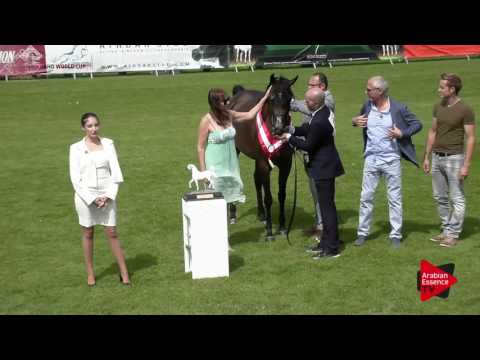 3rd PLACE N.23 MAYADAH ALBIDAYER - Chantilly 2017 World Cup - Fillies Championship (Class 12)