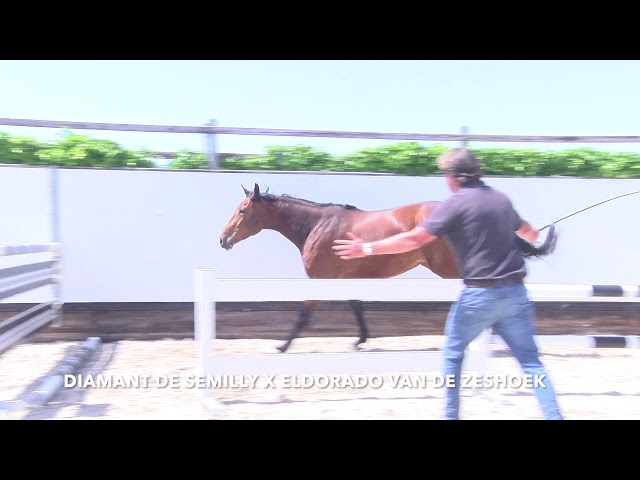 Jumping 