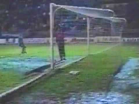 gremio vs pelotas final do gauchão 1993