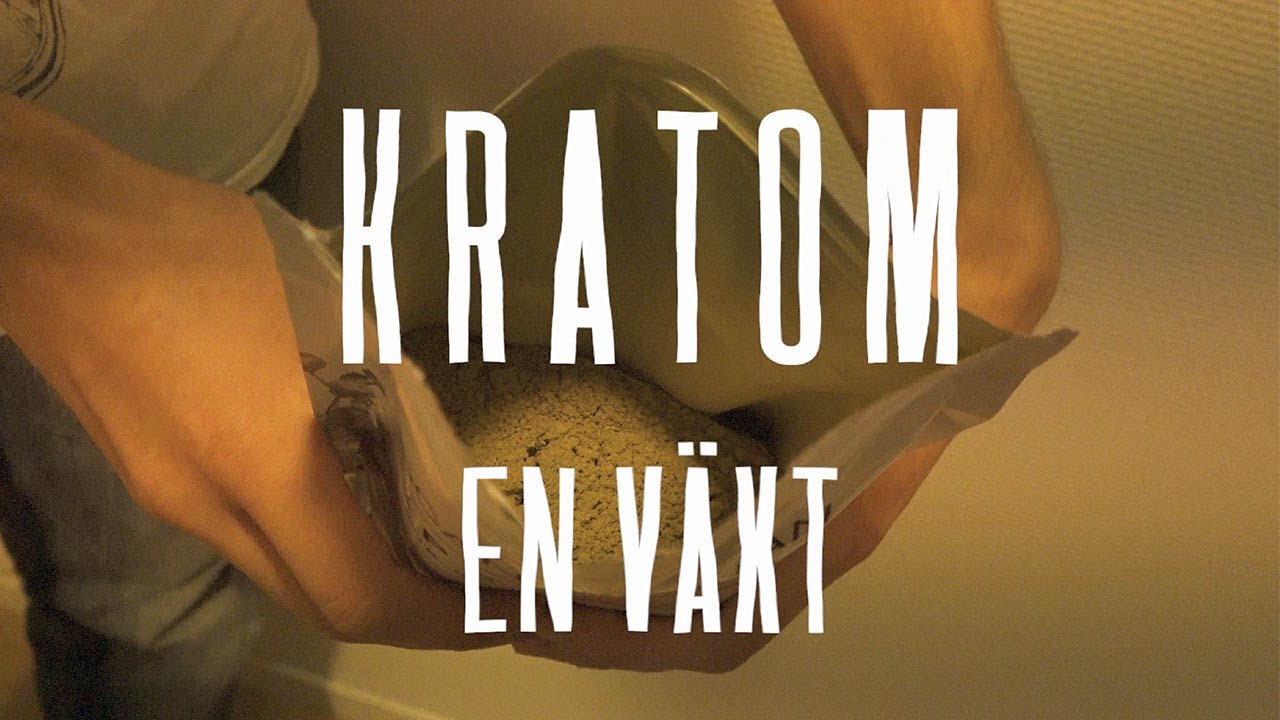 Kratom - En Växt videominiatyr