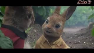 Download lagu Peter rabbit imetafsiliwa kiswahili funny clip mp3