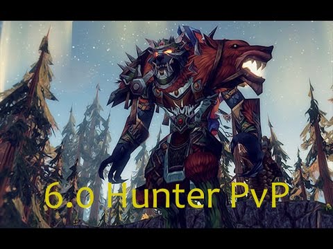 6.0.2 MM Hunter PvP - DeepWind Fun - Patch 6.0