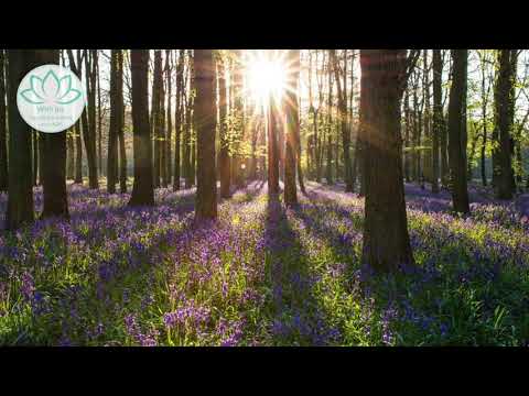 Meditatie die je rust geeft en je helpt om je veilig te voelen