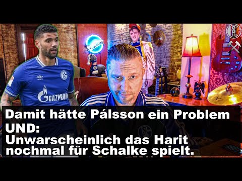Pálsson redet Klartext und Harit wird wohl nicht mehr für Schalke spielen. "Puh...Stirnabwisch"