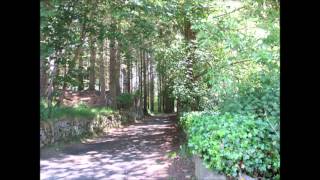 Ground rules by Emma Forman