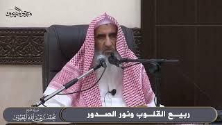 ربيع القلوب ونور الصدور image