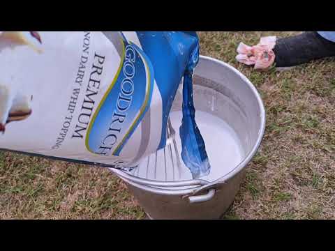 Strawberry 🍓 And Brahmi Shakes