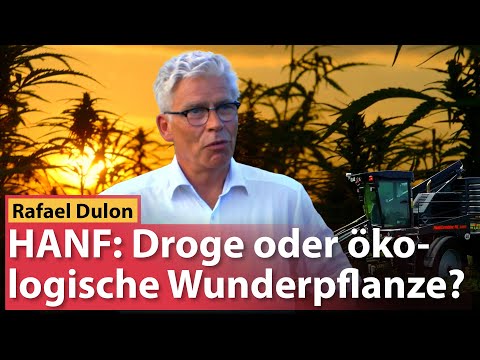 HANF: Droge oder ökologische Wunderpflanze?