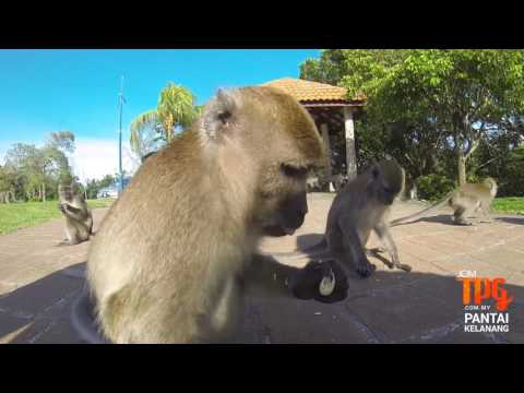 PANTAI KELANANG - #JOMTPG