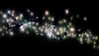 Astronauts Spotted This High-Tech Fishing Operation From Space