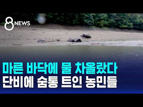 두 달 넘게 가뭄이 계속됐던 경남 지역에 반가운 비가 내렸어요