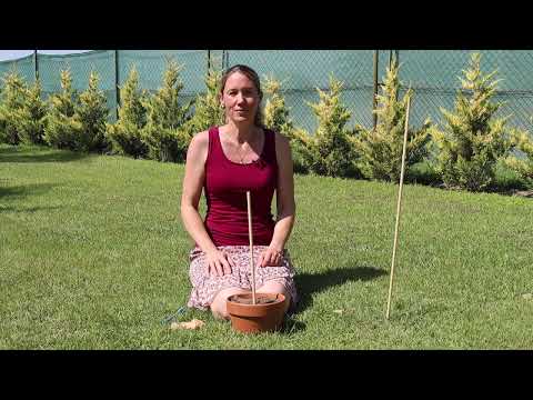 Forsche mit uns! Wir bauen eine Sonnenuhr