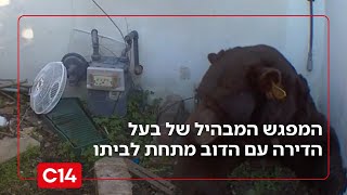 תיעוד ביזארי: המפגש המבהיל של בעל הדירה עם הדוב מתחת לביתו | מדברים C14 (חדשות ערוץ 14) - התמונה מוצגת ישירות מתוך אתר האינטרנט יוטיוב. זכויות היוצרים בתמונה שייכות ליוצרה. קישור קרדיט למקור התוכן נמצא בתוך דף הסרטון