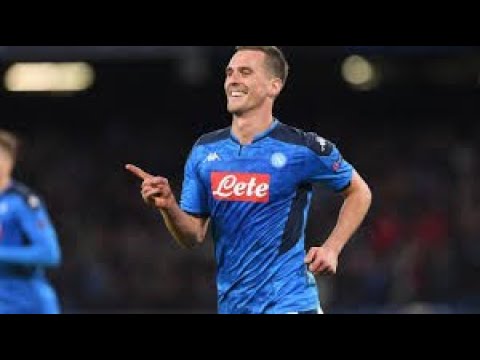 Arkadiusz Milik 2019 - 2020 - Skills And Goals - Napoli