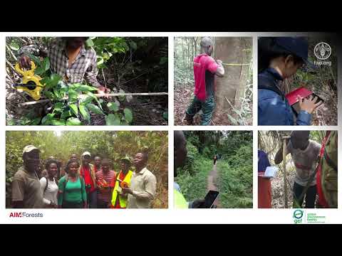 Welcome to the “National forest inventory” online facilitated course