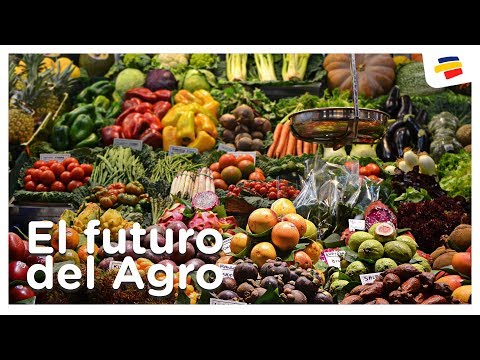 El futuro del Agro - Agroindustria | Bancolombia