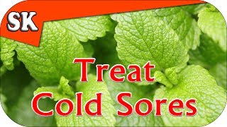 NATURAL COLD SORE REMEDY - Avoid Pharmaceuticals - Lemon Balm for Cold Sores