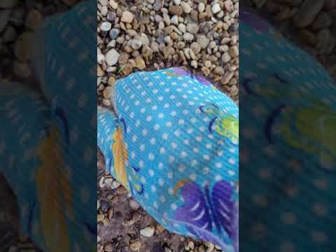 My Soil Cement Experiment