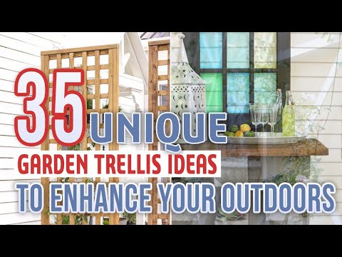 35 Unique Garden Trellis Ideas To Enhance Your Outdoors