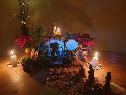 Lumière sur les Habitants du Pays de l'Ombre