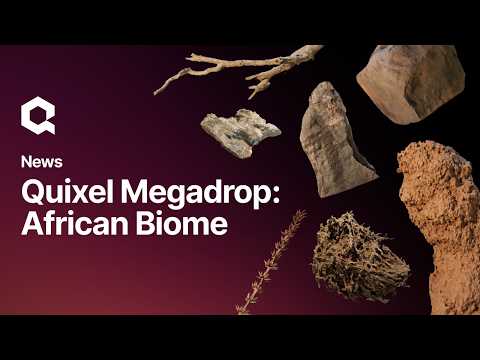 Quixel Megadrop: African Biome | Megascans Assets on Fab