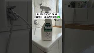 Mit diesem Spray wirst du Silberfische ganz schnell wieder los!