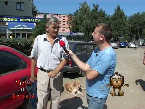 VIS 03.09.2009 - Cainii comunitari