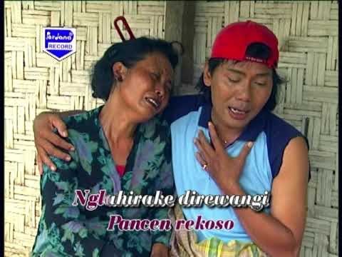 Kuwalat - Jithul Sumarji - Tayub Setyo Pradonggo Tulungagung
