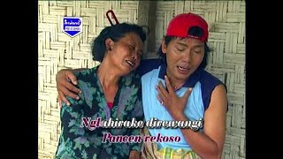 Download lagu Kuwalat - Jithul Sumarji - Tayub Setyo Pradonggo Tulungagung mp3 Download lagu Kuwalat - Jithul Sumarji - Tayub Setyo Pradonggo Tulungagung mp3