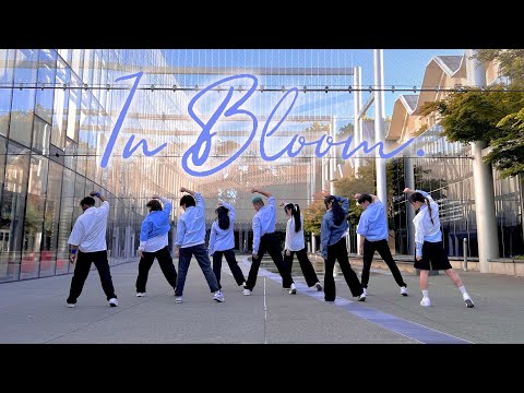 [KPOP IN PUBLIC | KPOP IN SEATTLE] ZEROBASEONE [제로베이스원] - ‘In Bloom’ | Dance Cover | KIT$CH CREW