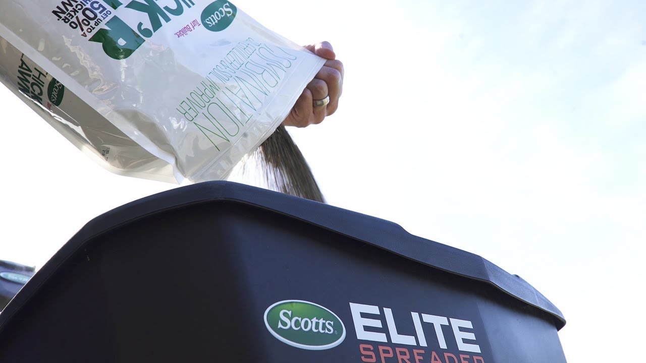 The 3 Most Important Fall Lawn Projects