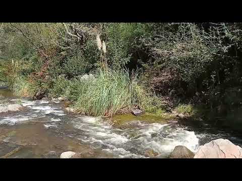 Dejemos que todo fluya!! Belleza natural! La Estancita/Salsipuedes/Cordoba #turismo #viral 