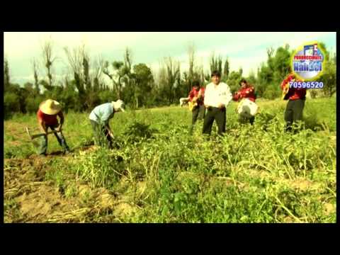 Campesino Madrugador (copla y cueca) - Antenor Silos