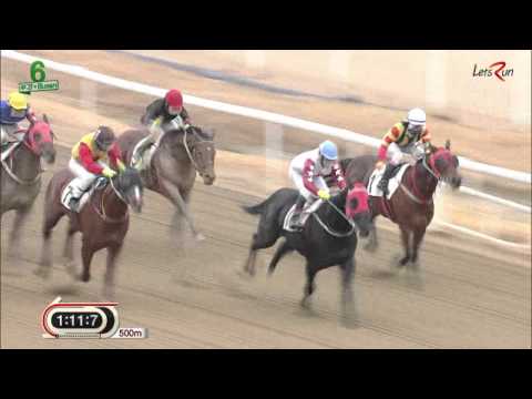 Macheon Bolt - Busan Racecourse - January 17th, 2016