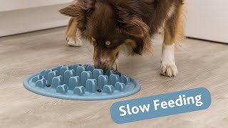 Katteskål i Plastikk Slow Feed Labyrint 0,25l 21x14cm Grå - youtube 1
