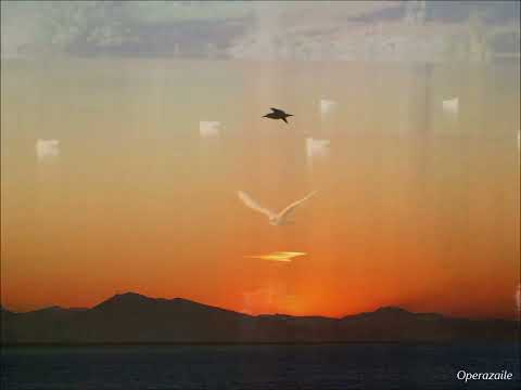 Reynaldo Hahn: Si mes vers avaient des ailes by Ruth Ann Swenson