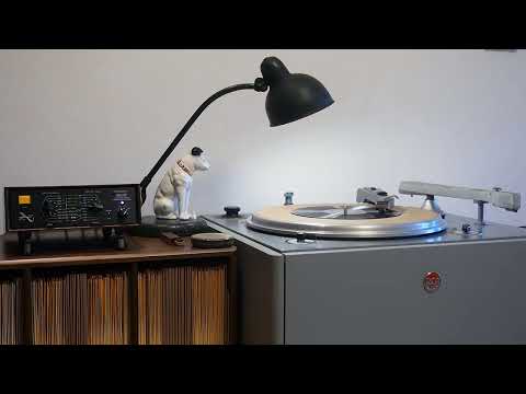 Never Had No Lovin' / Wingy Mannone and his Orchestra