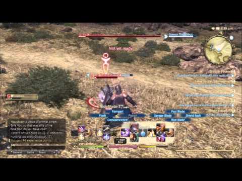 Final Fantasy 14 XIV A Realm Reborn Gameplay Lvl 18-20 Gladiator - 2 / 7