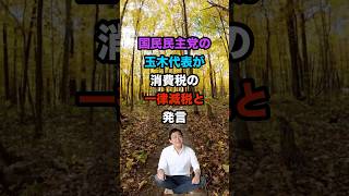 国民民主党の玉木代表が消費税の一律減税と発言#shorts