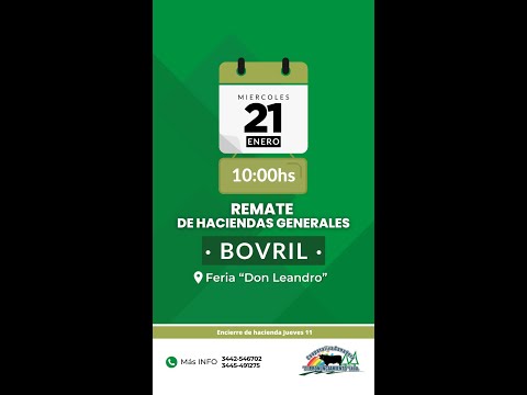 Remate de hacienda Bovril 21-01-2026 | Coop. Ganadera El Pronunciamiento