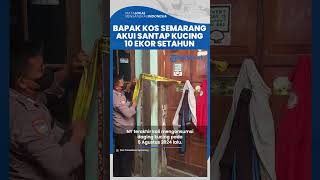 Terungkap! Pemilik Kos di Semarang Makan 10 Kucing dalam Setahun, Terakhir Konsumsi 5 Agustus 2024