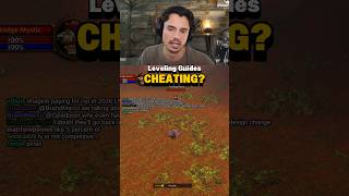 Are Leveling Guides Cheating?