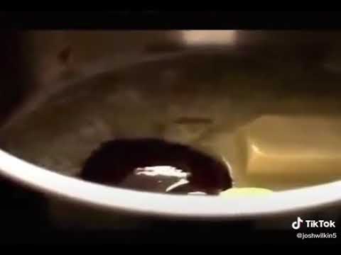 Nigela Talking Dirty