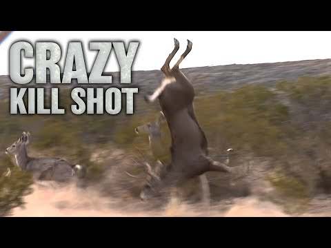 Craziest Crossbow Deer Hunt Ever