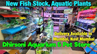 New Aquarium Fish Stock at Dhirsoni Aquarium Store I Delivery available in Mumbai & Navi Mumbai