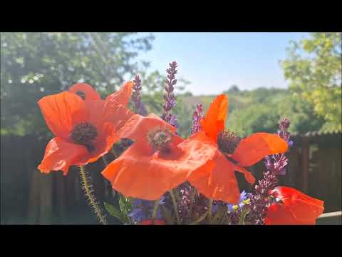 Ce mult mi-e dor de Tatăl meu ceresc, pian, nr. 598, CCC Bacău 2012