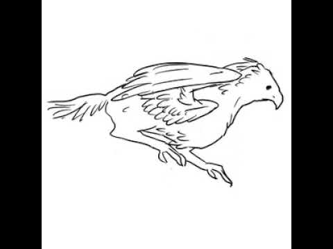 馬から鳥へ2 書き直し